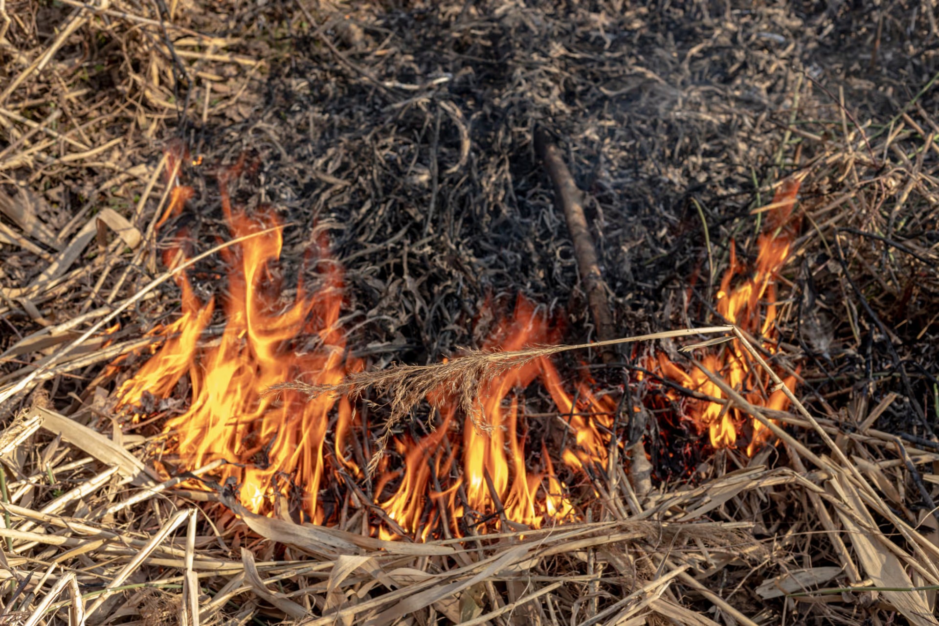 B.C.’de Sıcak Küllerle Başlayan Yangın Davasında Komşuya 4.397 Dolar Ceza