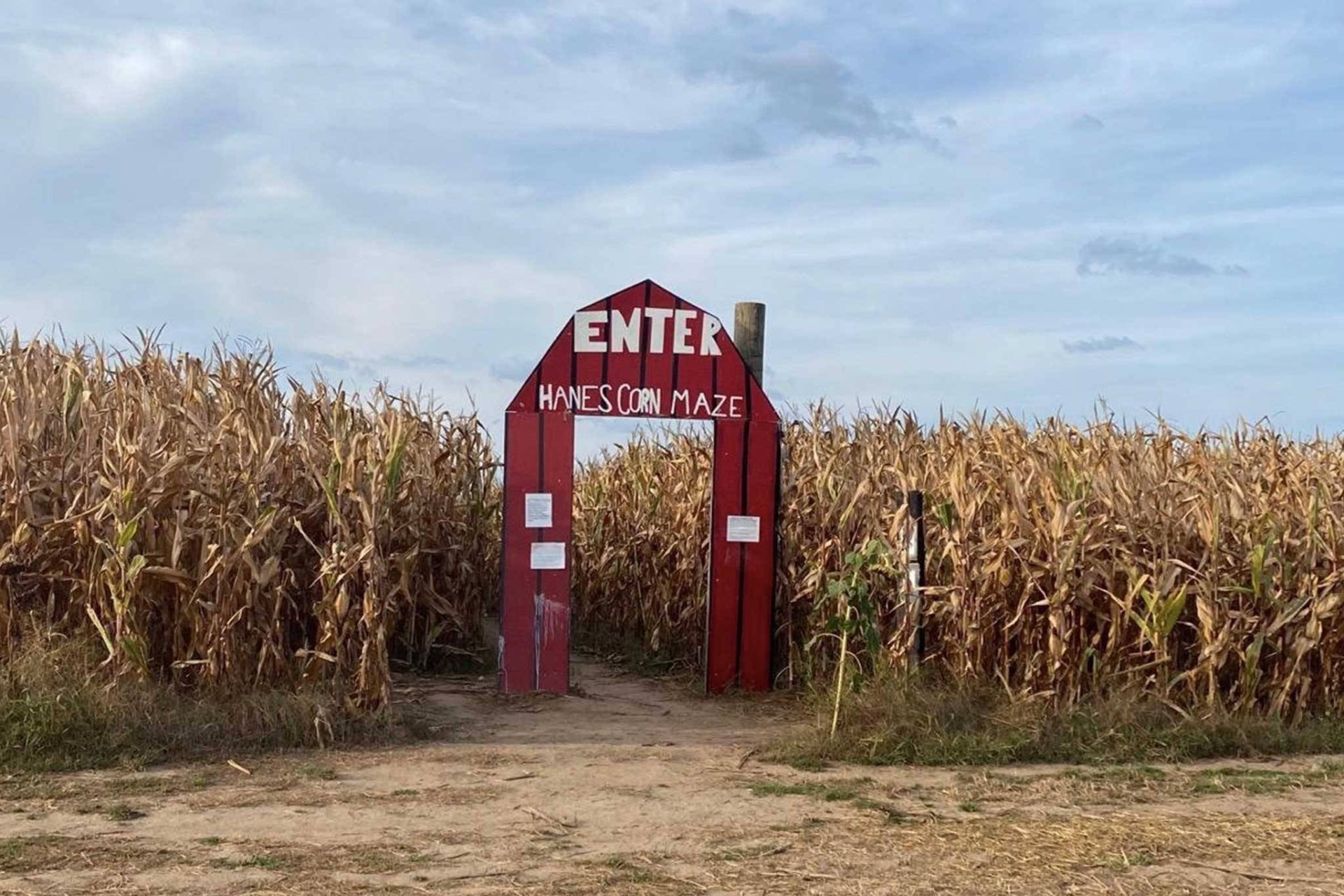 Kanada’nın En Büyük Mısır Labirenti Ontario’daki Hanes Farm’da Ziyarete Açıldı