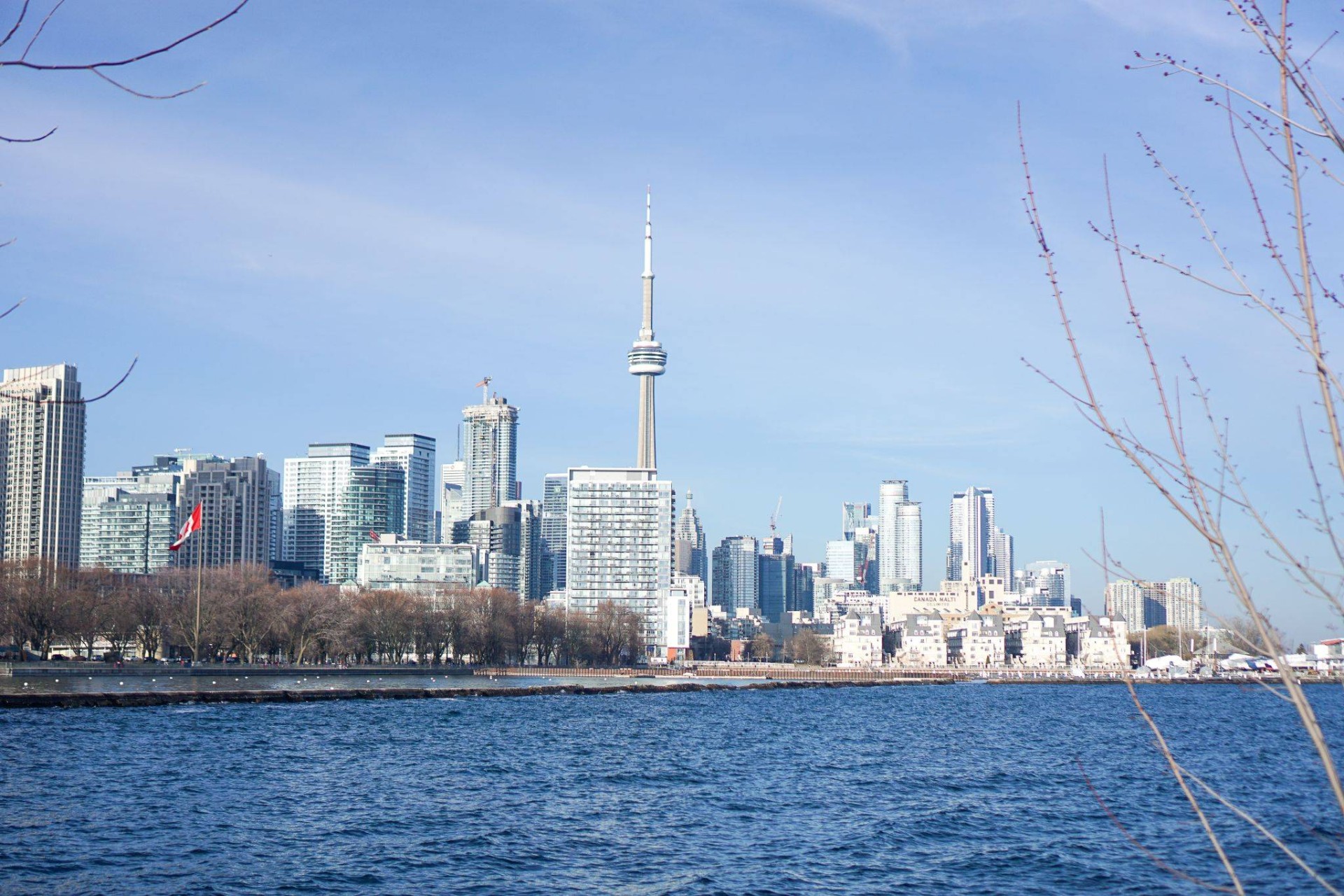 Toronto, Soğuk Hava Dalgası ile Karşılaşıyor