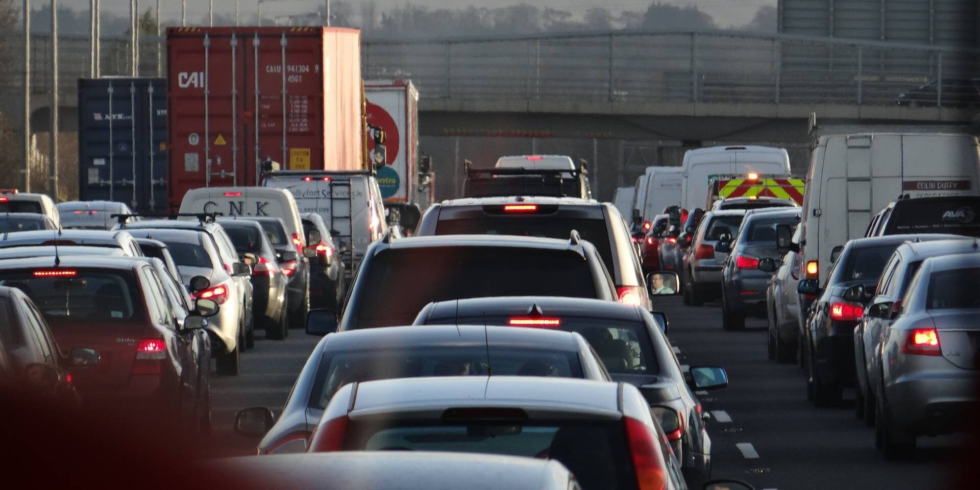 David Suzuki: Sürekli Büyüme Takıntısı Gezegenimizi Yok Ediyor